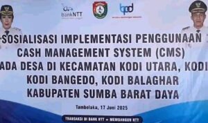 Pemkab SBD Sosialisasi Implementasi Penggunaan CMS se-Kecamatan Kodi (Johan Sogara/Lintas Sumba)
