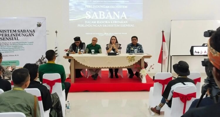 Bupati Sumba Barat Daya (SBD), Ratu Ngadu Bonu Wulla, jadi pemateri dalam PNLH XIV WALHI di Sumba Timur (AH/Suarajarmas.id)