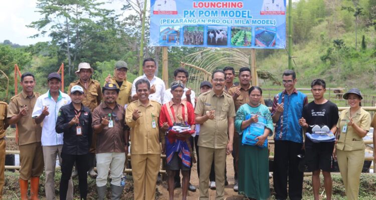 Bupati Sumba Tengah, Paulus S. K. Limu, saat lounching program inovatif PK-POM Model di Desa Mbilur Pangadu (DH/Suarajarmas.id)
