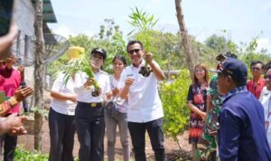 Bupati dan Wakil Bupati SBD, Ratu Ngadu Bonu Wulla dan Dominikus Alphawan Rangga Kaka, saat kunjungan ke UPP JOKOMIT Kelurahan Langgalero (Suarajarmas.id)