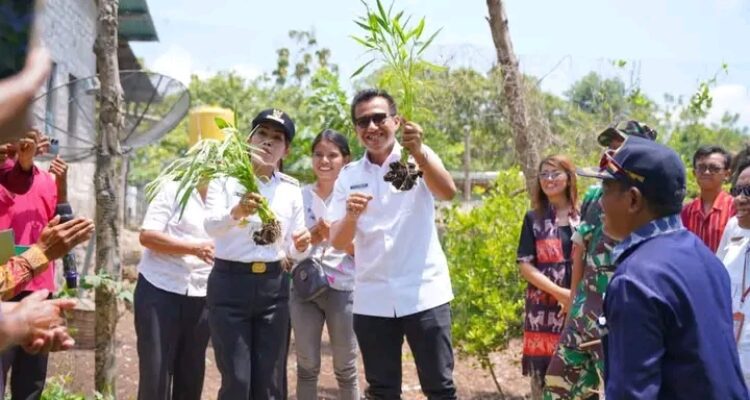 Bupati dan Wakil Bupati SBD, Ratu Ngadu Bonu Wulla dan Dominikus Alphawan Rangga Kaka, saat kunjungan ke UPP JOKOMIT Kelurahan Langgalero (Suarajarmas.id)