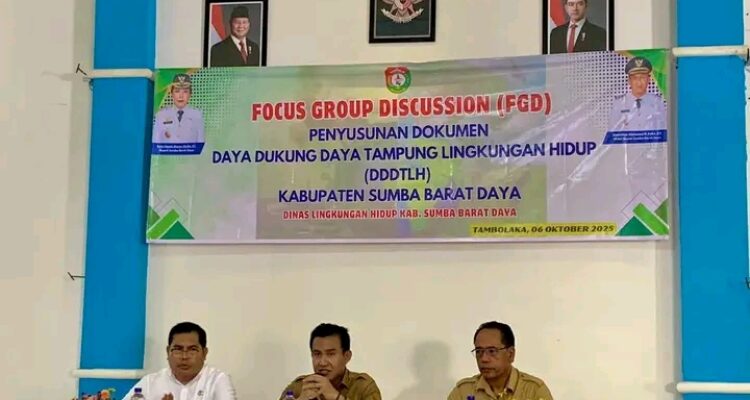 Wakil Bupati SBD, Dominikus Alphawan Rangga Kaka, saat membuka Kegiatan FGD tentang penyusunan DDDTLH (Suarajarmas.id)